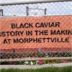Black Caviar Adelaide